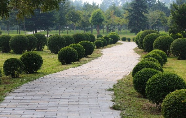 綠化養護 (1).jpg